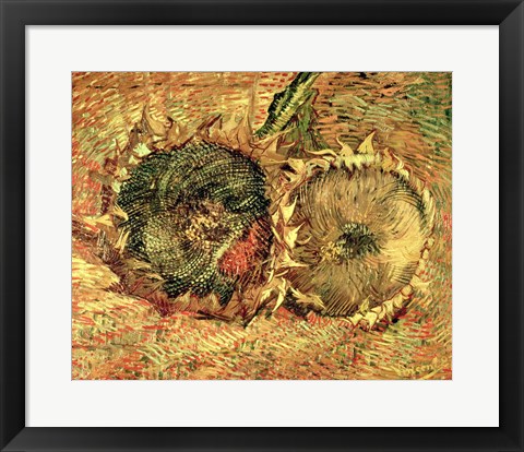 Framed Two Cut Sunflowers, 1887 Print