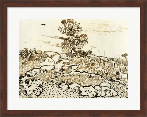 Framed Rocky Ground at Montmajour Print