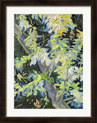 Framed Acacia in Flowe Print