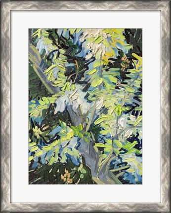 Framed Acacia in Flowe Print