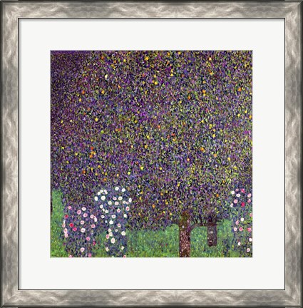 Framed Roses under the Trees, c.1905 Print