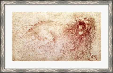 Framed Sketch of a roaring lion Print