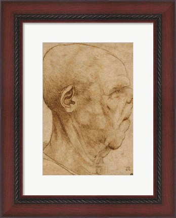 Framed Caricature of the head of an old man, in profile to the right, c.1507 Print