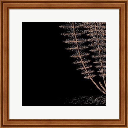 Framed Fern III (on black) Print