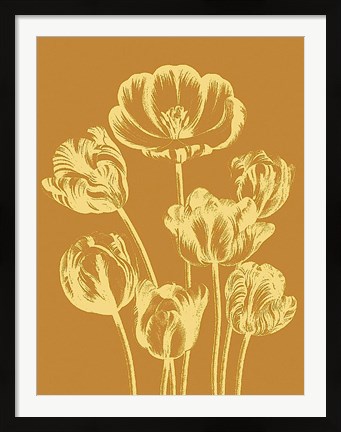 Framed Tulip 20 Print