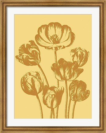 Framed Tulip 19 Print