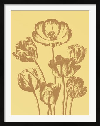 Framed Tulip 19 Print