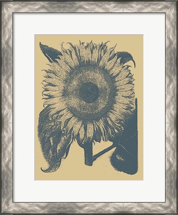 Framed Sunflower 1 Print