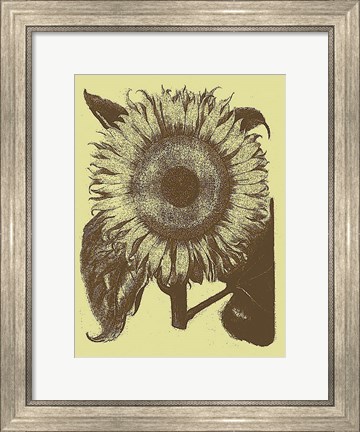 Framed Sunflower 4 Print