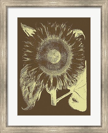 Framed Sunflower 3 Print