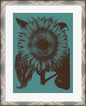 Framed Sunflower 5 Print