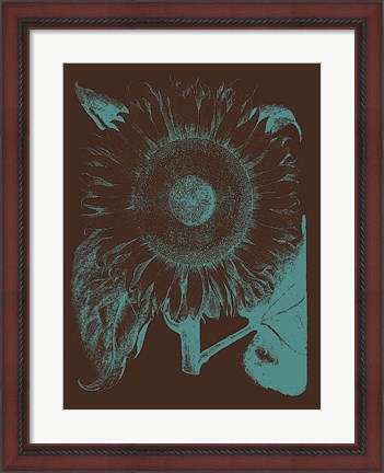 Framed Sunflower 6 Print
