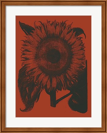 Framed Sunflower 9 Print