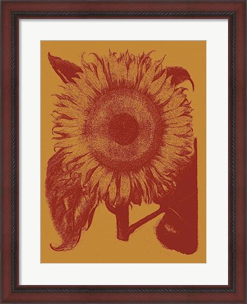 Framed Sunflower 15 Print