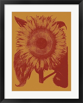 Framed Sunflower 15 Print