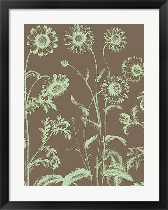Framed Chrysanthemum 12 Print