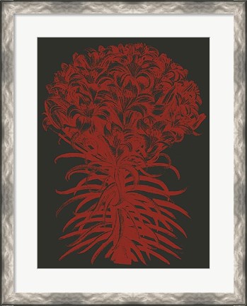 Framed Lilies 10 Print