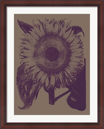 Framed Sunflower 14 Print