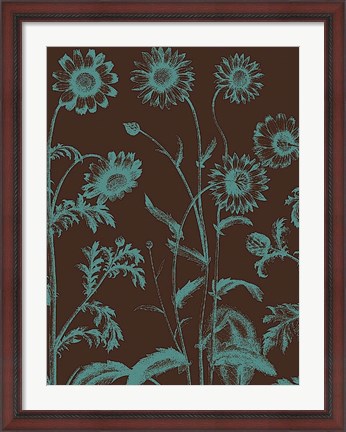 Framed Chrysanthemum 6 Print
