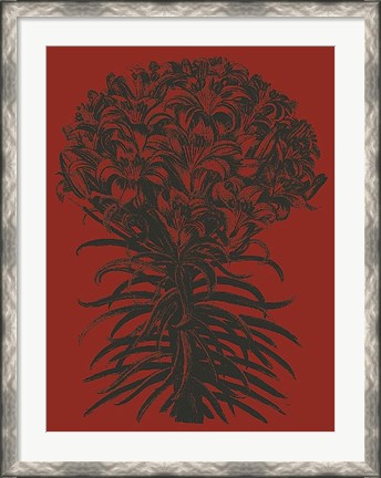Framed Lilies 9 Print