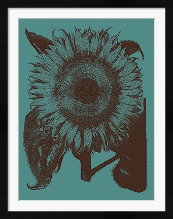 Framed Sunflower 5 Print