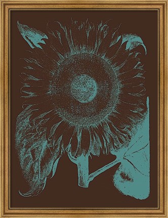 Framed Sunflower 6 Print