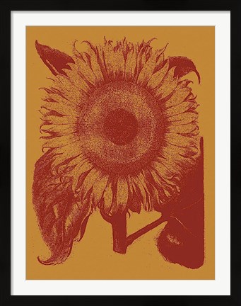 Framed Sunflower 15 Print