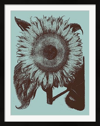 Framed Sunflower 18 Print