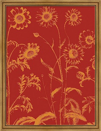 Framed Chrysanthemum 16 Print