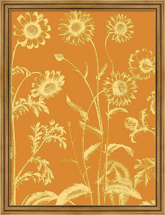 Framed Chrysanthemum 20 Print
