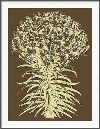 Framed Lilies 3 Print