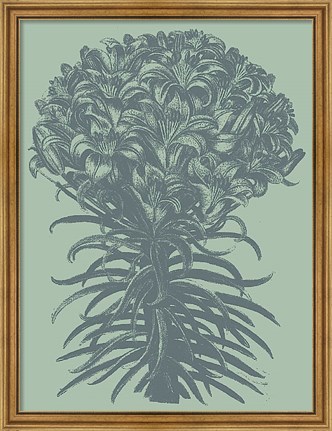 Framed Lilies 8 Print