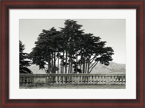 Framed Cypress Trees and Balusters Print