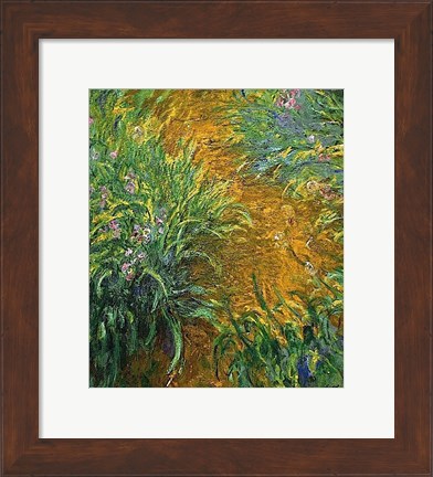 Framed Path in the Iris Garden Print