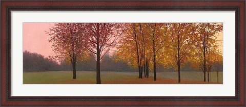 Framed Autumn Dawn, Maples Print
