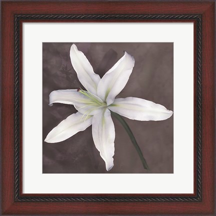 Framed White Lily Print