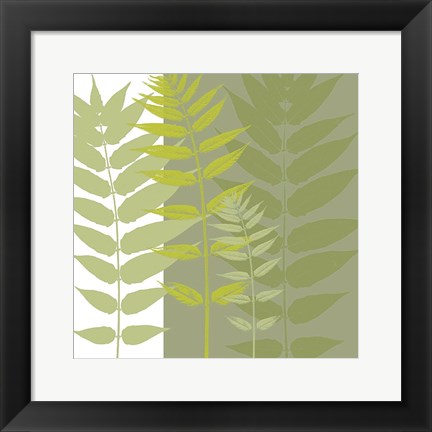 Framed Field Greens Print