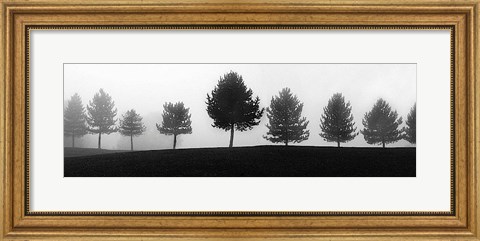 Framed Tree Line Print