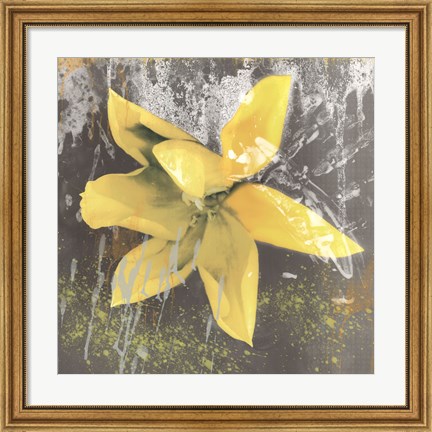 Framed Tulip Fresco (yellow) Print