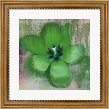 Framed Tulip Fresco (green) Print