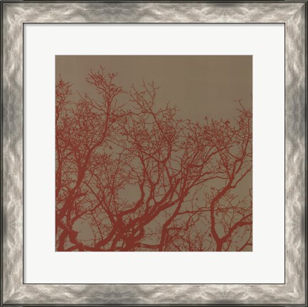 Framed Cinnamon Tree II Print