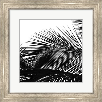 Framed Palms 13 (detail) Print