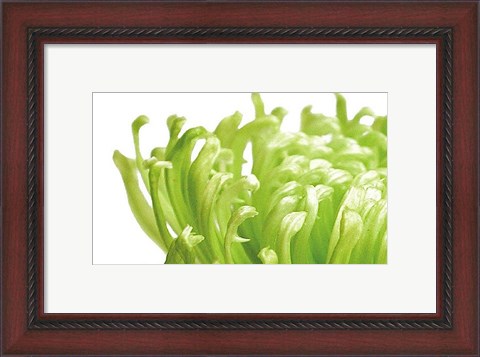 Framed Green Bloom 1 Print