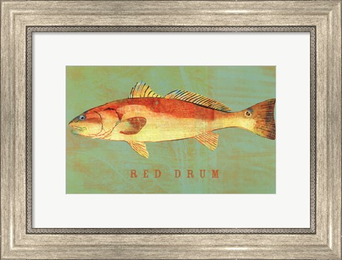 Framed Red Drum Print