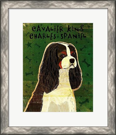 Framed Cavalier King Charles (tri-color) Print