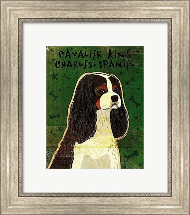 Framed Cavalier King Charles (tri-color) Print