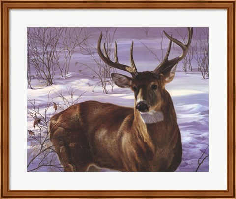 Framed Through My Window- Whitetail Deer Print