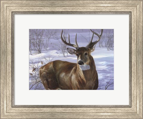 Framed Through My Window- Whitetail Deer Print