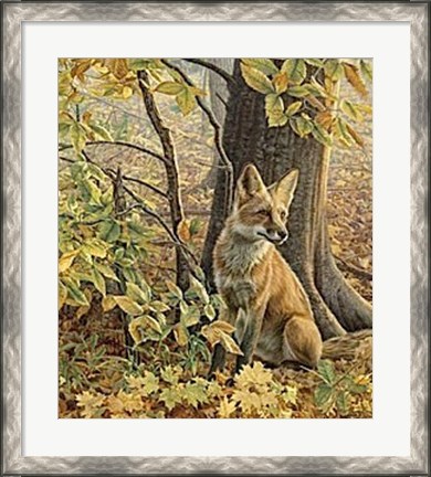 Framed Eyes of Autumn Print