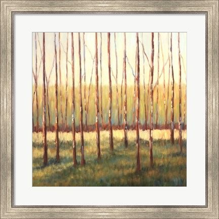 Framed Grove of Trees Print